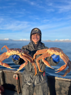 XL Tanner Crab Leg Clusters at 9-13oz/  25Lb Box