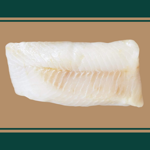 Ling Cod