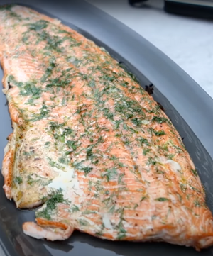 Coho Salmon